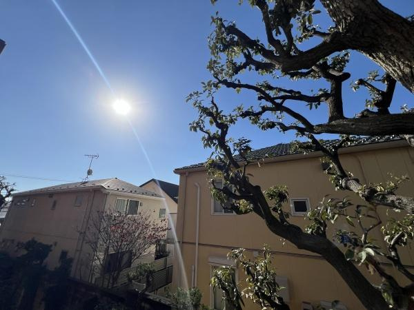 ライオンズマンション上野毛第二のその他