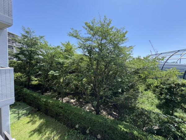 ファミールあざみ野スカーレットヒルズのその他|晴れた日は癒しの空間に・緑が優しい環境です