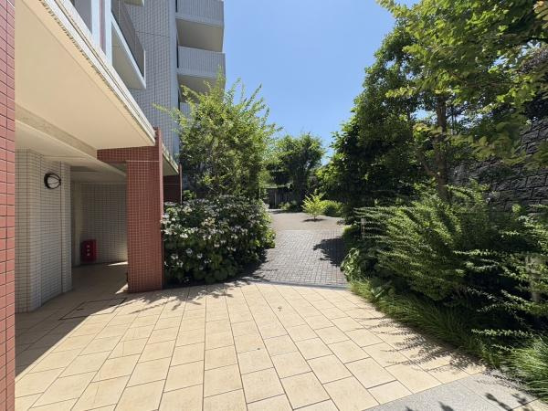 ファミールあざみ野スカーレットヒルズの玄関|季節の花々が綺麗に咲いている共用部・撮影6月アジサイ、薔薇、つわぶきの葉も綺麗でした