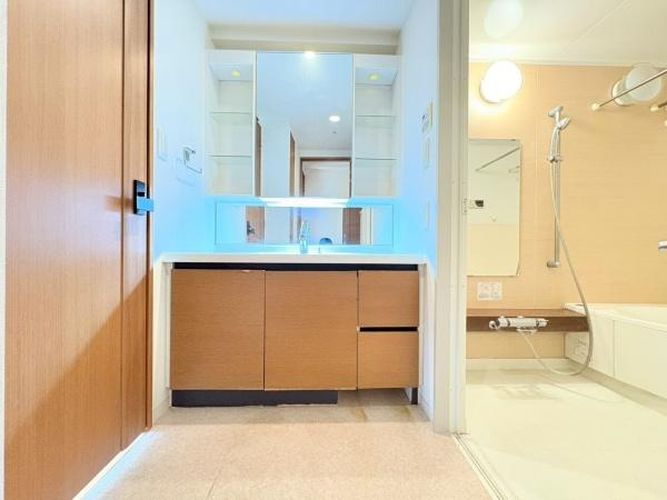 アデニウム葉山一色の独立洗面台