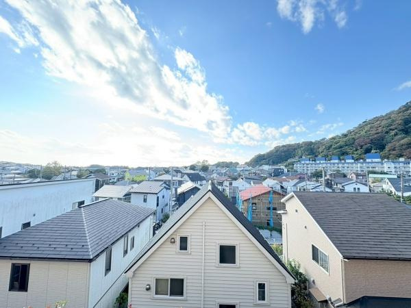 アデニウム葉山一色のその他