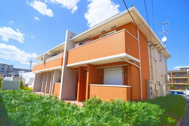 プラシード　ツバサ　Ⅴ