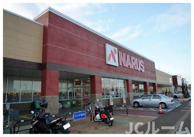 カリーノ Ｂの周辺|ナルス南高田店まで3000m