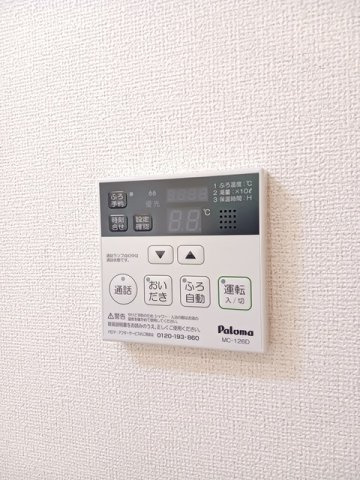 プリマステラのその他