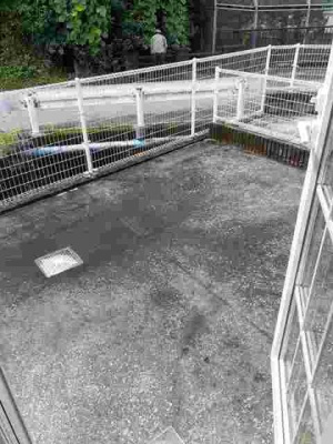 【庭】 | ソルジェーレ大窪Ｂ