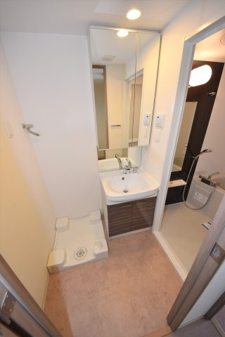 エスリード難波ＳＯＵＴＨの洗面所