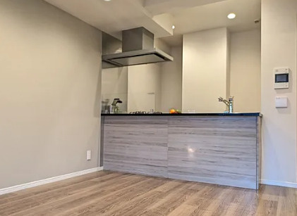 ライオンズマンション白金台のその他