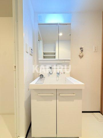 リヴクレール鴫野の洗面所