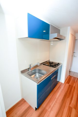 サヴォイコートオブアームズ　2階のキッチン|別号室のものになります。現状優先。