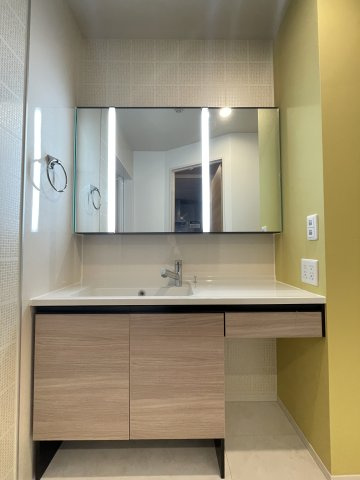 プレミスト新八代の洗面所