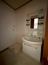 ゆったりとスペースのある洗面所