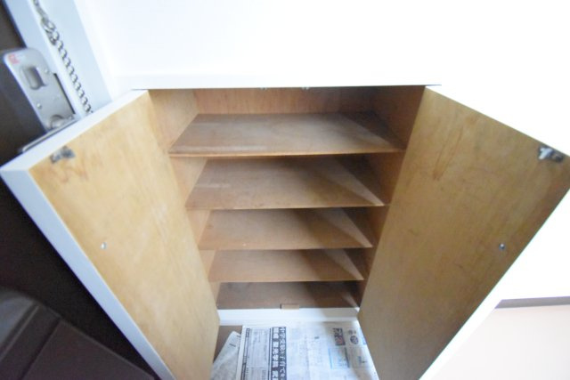 落ち着いた玄関です