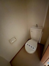 落ち着いた色調のトイレです