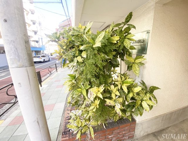 Boa Sorte 本駒込のその他|植栽です☆