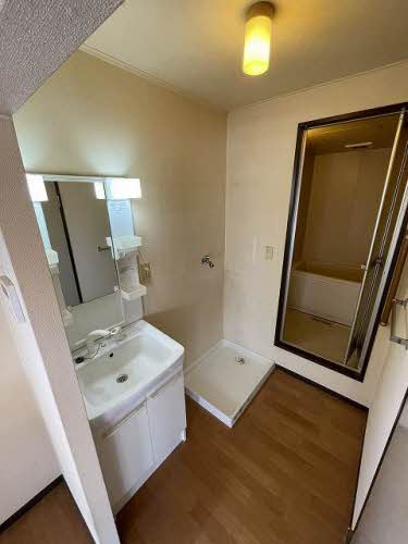 フォーブル大宮の洗面所