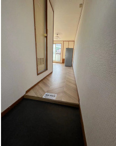 西成区山王一棟収益マンションの玄関