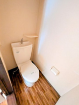 落ち着いたトイレです