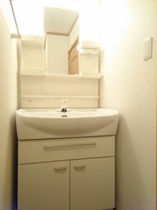 スペースが確保できる洗面所です