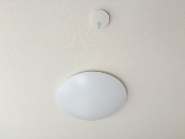 Ivy Field Ⅰ (アイヴィー フィールド ワン)の設備|照明器具