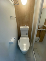 落ち着いた色調のトイレです