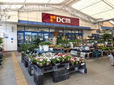 【周辺】 | エルピスⅡ | DCM橋本店まで395ｍ