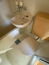 忙しい朝には欠かせない洗面所です