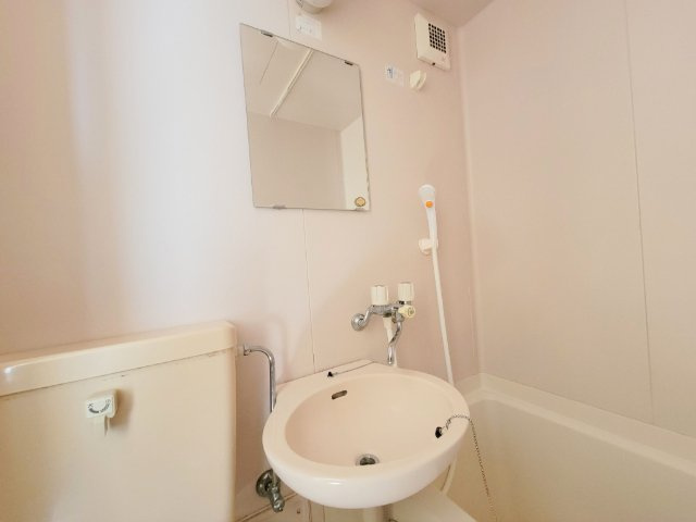 シティパレス生駒東松ヶ丘P-2の洗面所