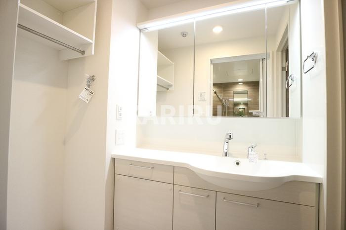 Clashist中宮Northの洗面所