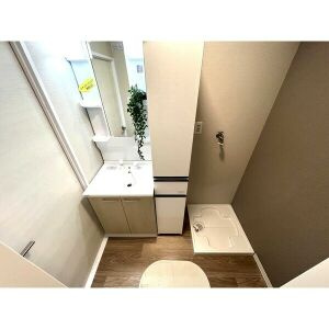 ウィンザーK&Yの洗面所