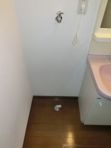 アップルヴィレッジ Z棟の洗面所