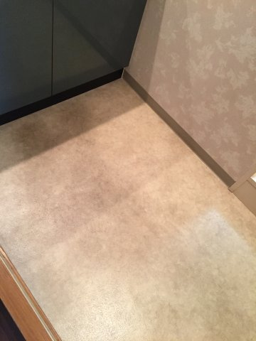 コスモ菊川参番館の玄関