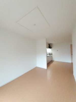 【その他】 | ワンピース