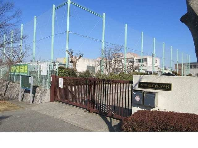 メゾン　ソレイユＣの周辺|神戸市立藤原台小学校様まで220m