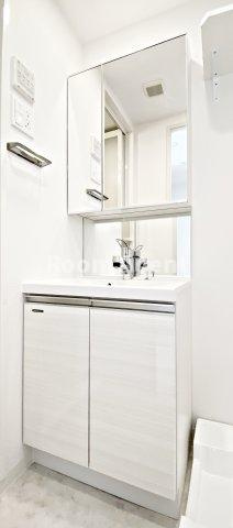 エスリード桜山ル・ヴェールの洗面所