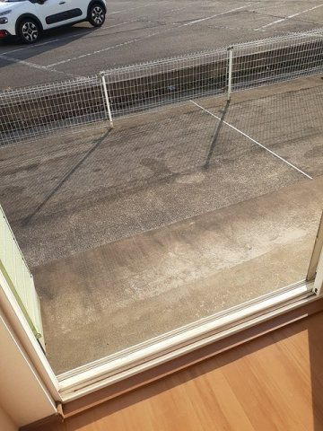 グリーンフェアのその他