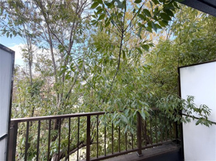 ラロッカのその他物件画像