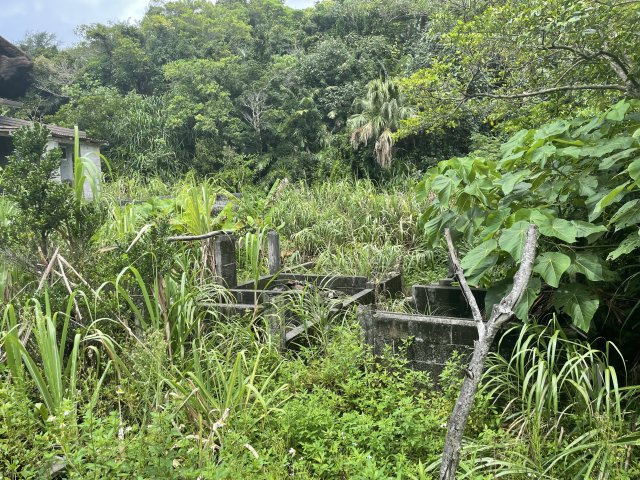 申込ありキャンセル待ち　東村川田宅地（未登記物件あり）の周辺