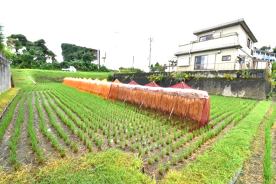 【外観】 | 霧島市隼人町野久美田