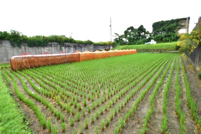 【外観】 | 霧島市隼人町野久美田