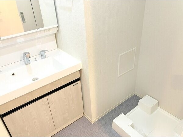 ロイジェント日吉Ⅱの洗面所