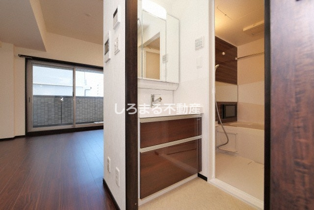 プレジオ難波の洗面所