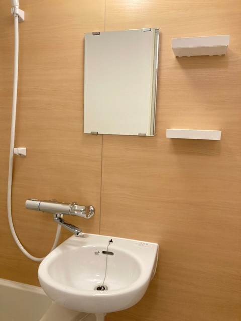 メゾン桐の洗面所