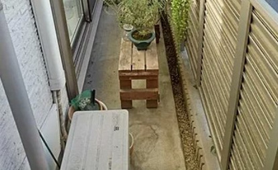 【その他】 | ピナクル