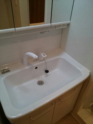 セゾン　ド　フォレⅡの洗面所