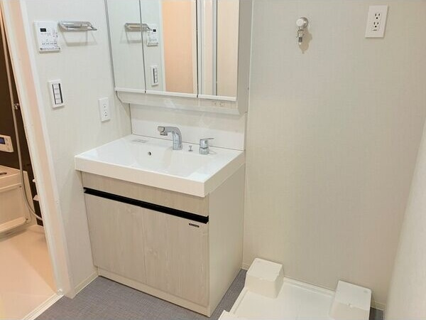 ロイジェント日吉Ⅱの洗面所