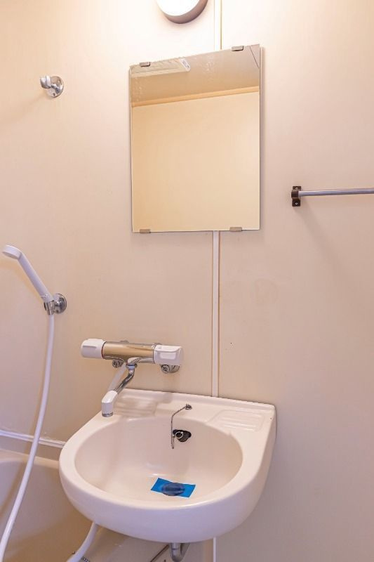 ハイムウチダの洗面所