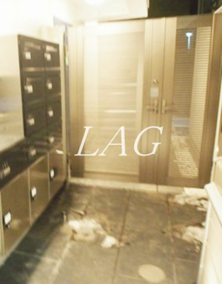 【エントランス】 | カーサフェリーチェ千川 | エントランスです。