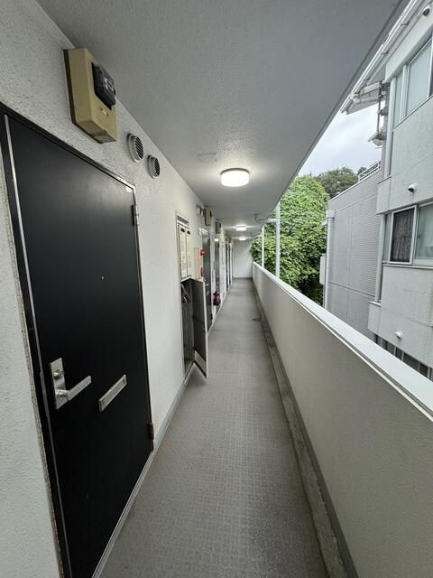 ＶＩＦ藤沢