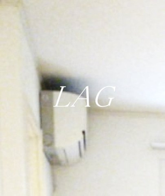 【その他】 | ワイレア