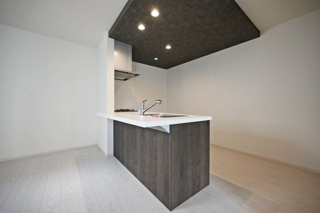 尼崎市武庫町3丁目新築一戸建て3号棟│4LDK+駐車1台可のキッチン|キッチン上部のダウンライトは、空間を広く見せ、かつお掃除がしやすくなります。埃のたまりやすい装飾を廃した合理的なライトです。